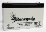 RT6100 or RT6120 Ritar Battery