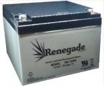 12-866 / 0120866  Dual-Lite Batteries