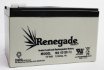 PM12100 or PM12120 Power Mate Battery
