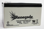 GP12120 CSB Battery